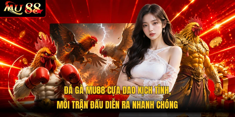 Đá gà MU88 cựa dao kịch tính, mỗi trận đấu diễn ra nhanh chóng