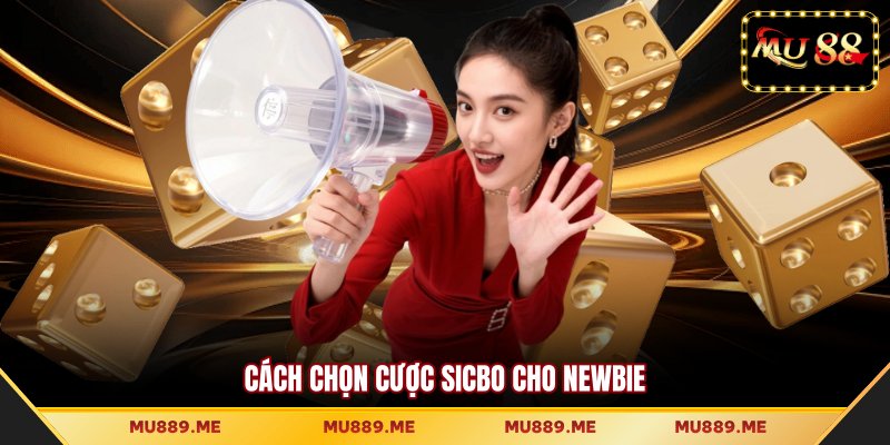 Cách chọn cược Sicbo cho newbie