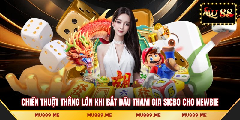 Chiến thuật thắng lớn khi bắt đầu tham gia Sicbo cho newbie