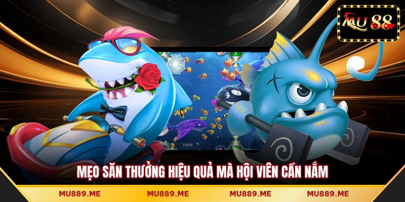 Mẹo săn thưởng hiệu quả mà hội viên cần nắm