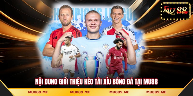 Nội dung giới thiệu kèo tài xỉu bóng đá tại MU88